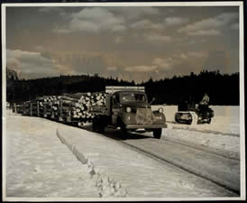 Transportation of timber