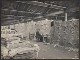 Wool and cotton warehouse